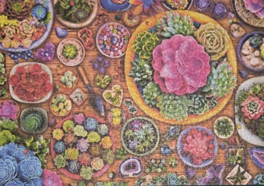 World of Plants - Trefl puzzle collectible [Barcode 5900511262070] - Main Image 3