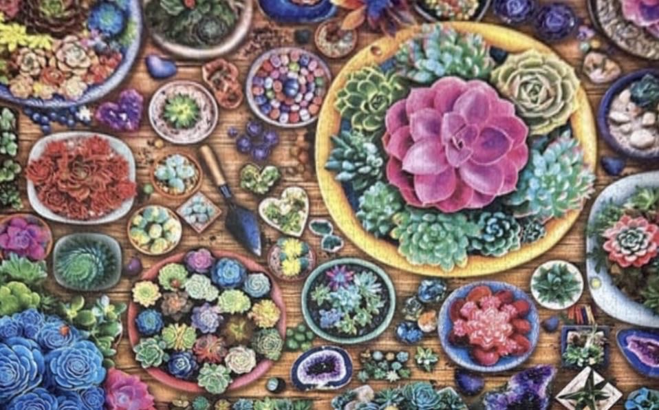 World of Plants - Trefl puzzle collectible [Barcode 5900511262070] - Main Image 4