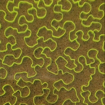 Impossible POISON - Gemturt 🇻🇳 puzzle collectible - Main Image 4