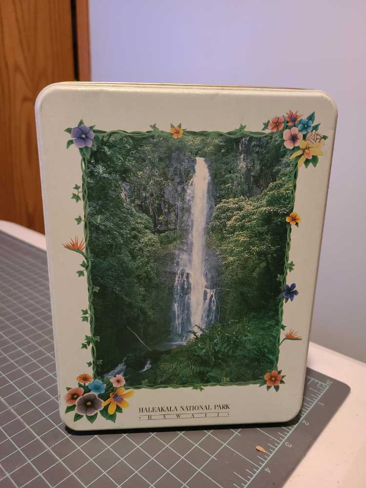 African Animal babies