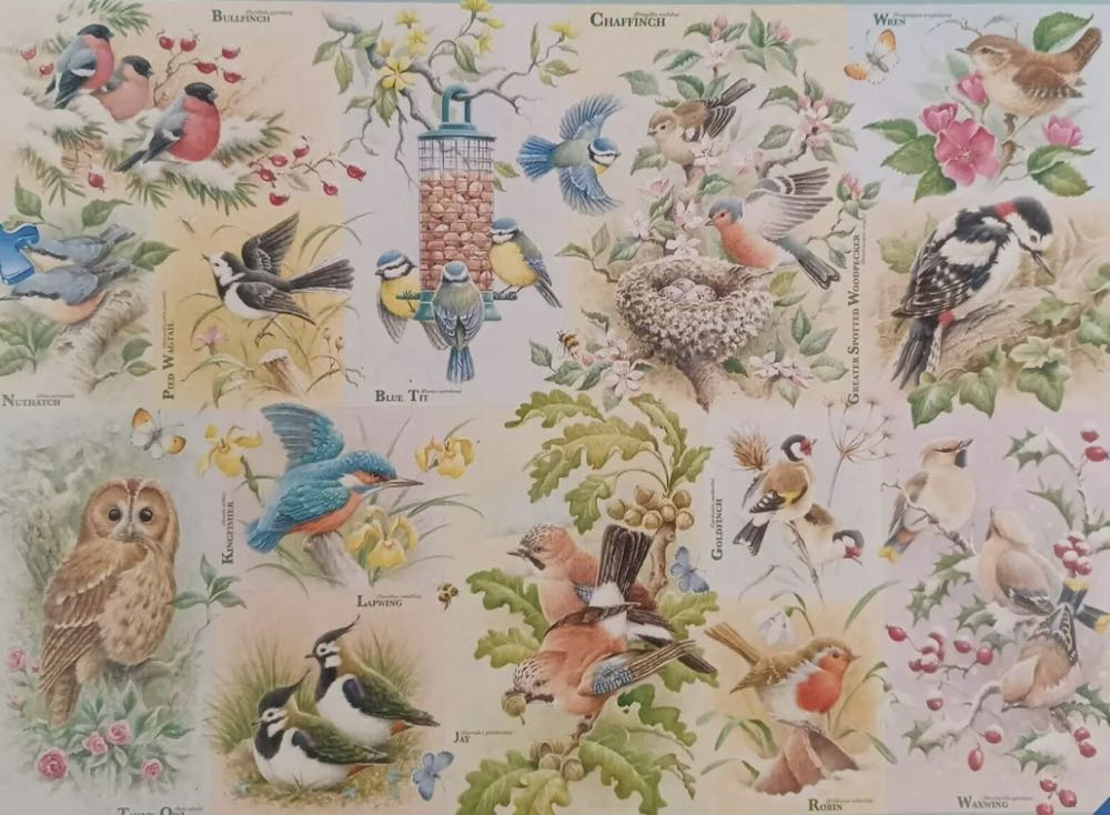 Seasons Of Flight - Ravensburger puzzle collectible [Barcode 4005556191789] - Main Image 3