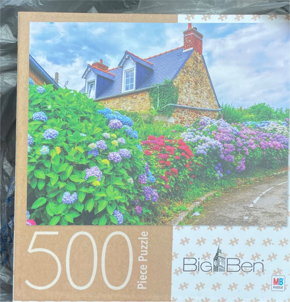 MN Twins Can You Find Joe?