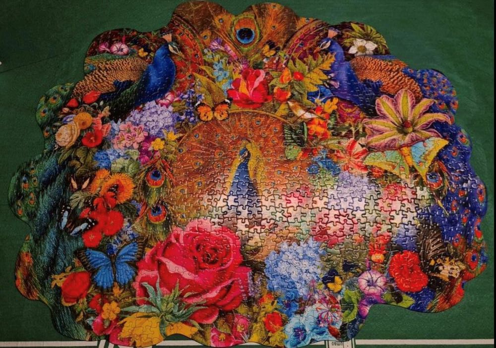 Garden Peacock 🐦 - SunsOut puzzle collectible [Barcode 0796780971745] - Main Image 3