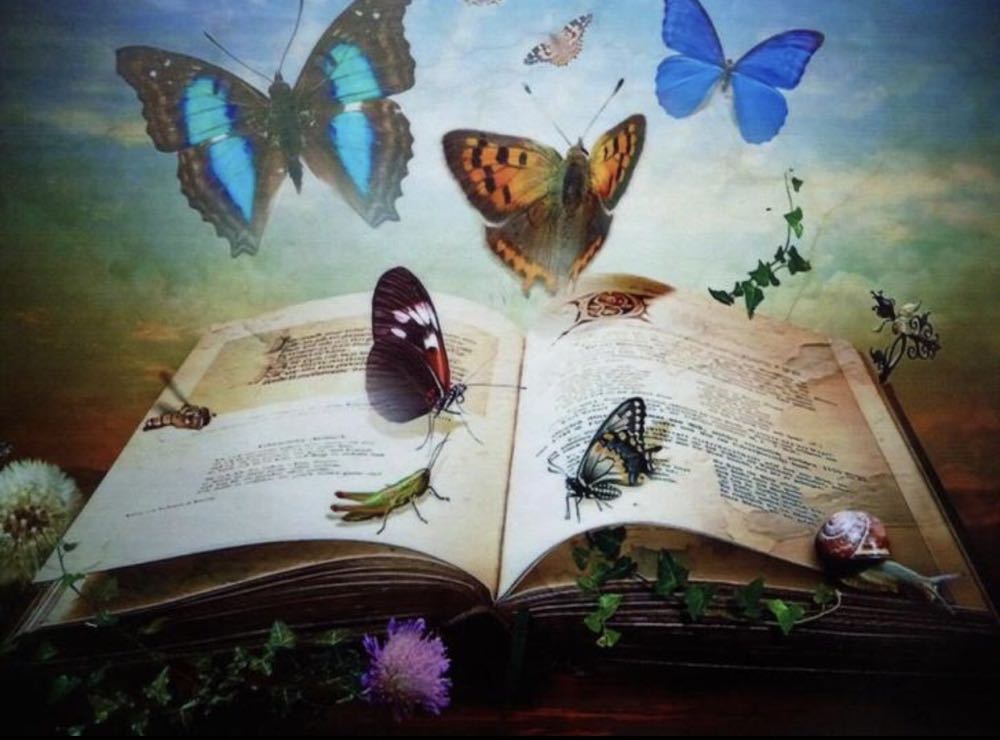 Daydreaming / Dagdromen Scannen - Q&K Puzzle puzzle collectible - Main Image 2