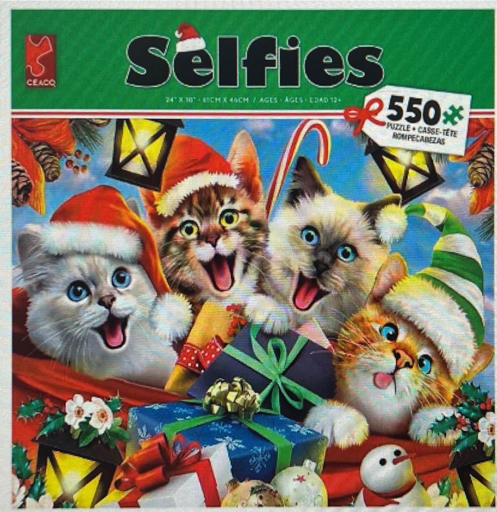 Hummingbirds At The Beach-JOAN