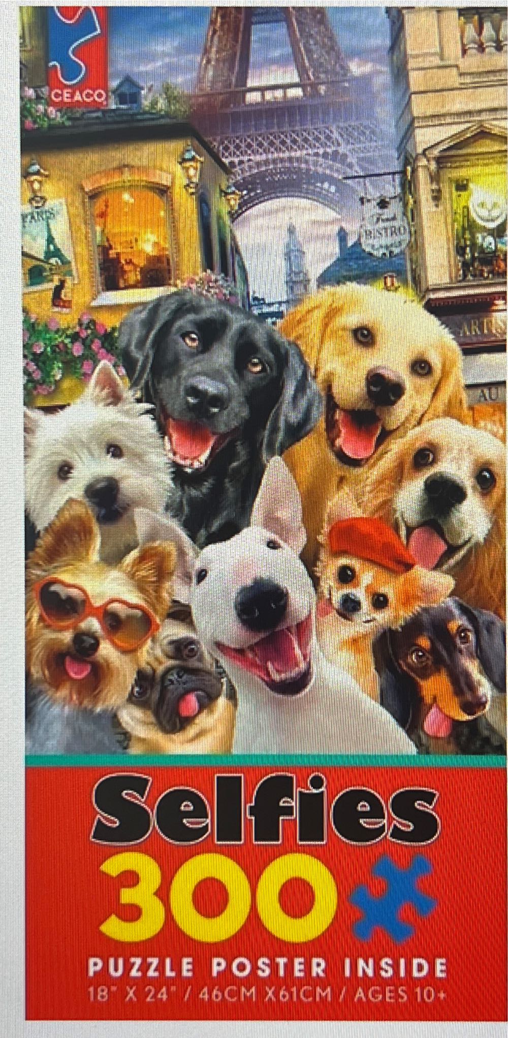 Z - Shells Of The South Atlantic Coast (Donated To LPL)