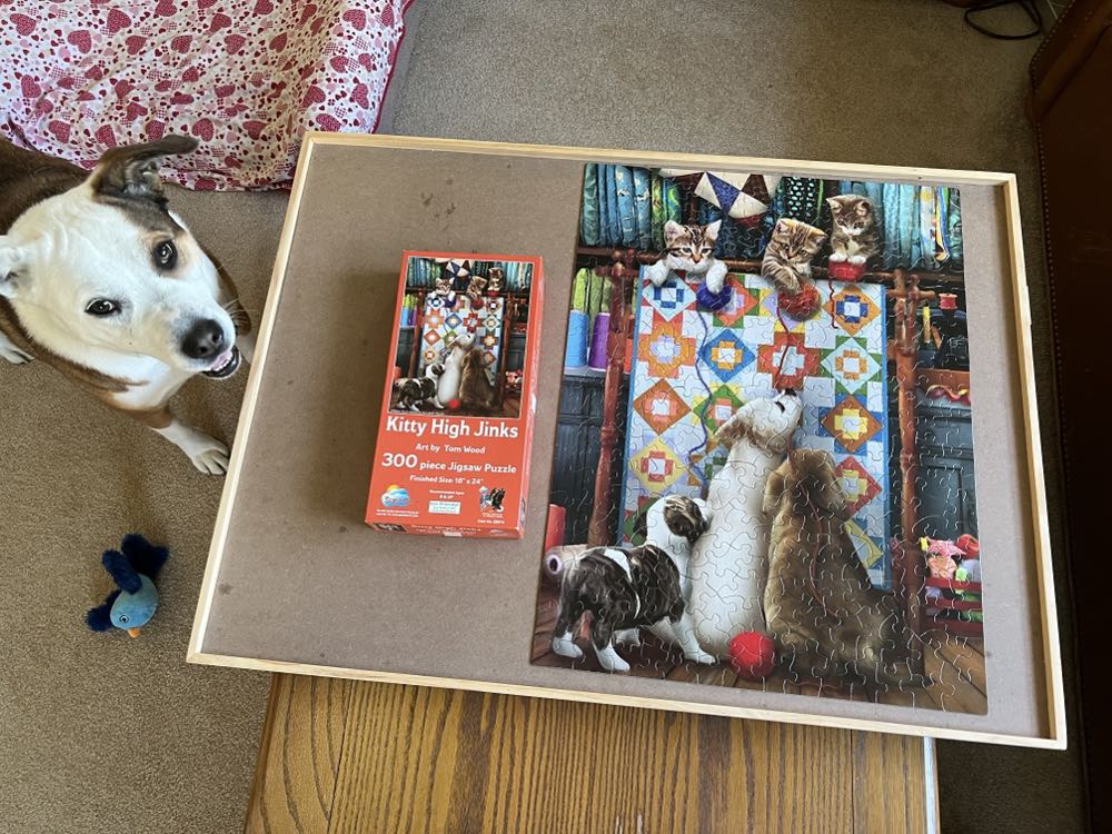 Kitty High Jinks - SunsOut puzzle collectible [Barcode 796780289741] - Main Image 3