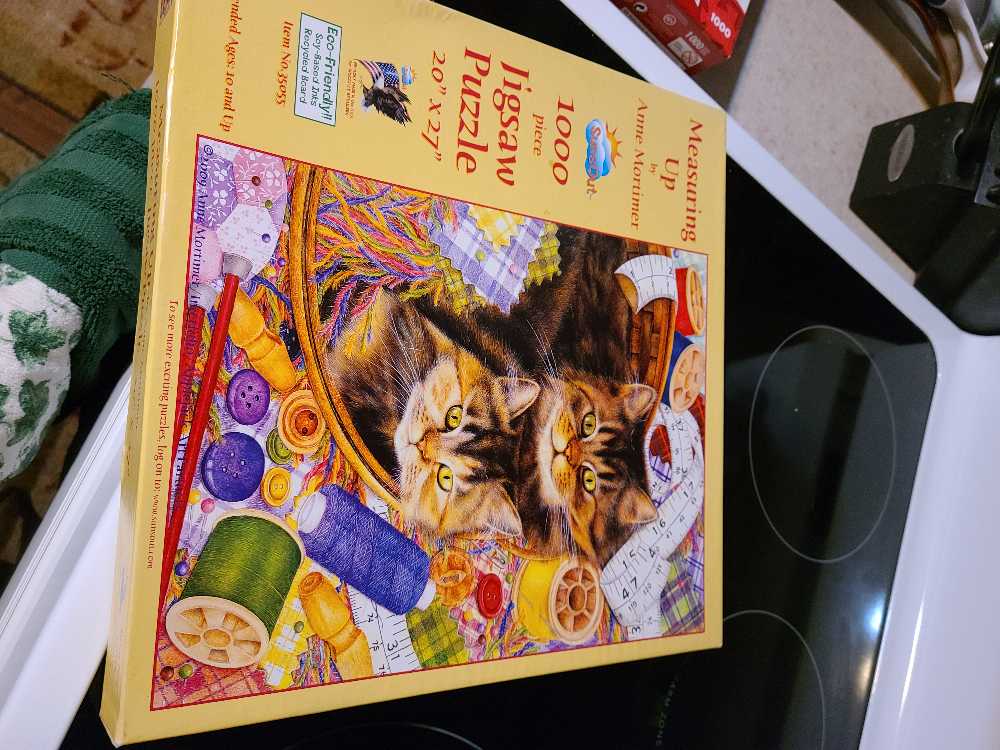 Beyond Our Sparkling Cities Puzzle Rabble Books