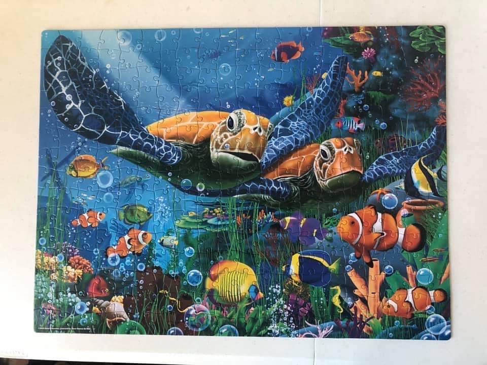 Family puzzle pack, 12 puzzles  puzzle collectible [Barcode 778988686133] - Main Image 2