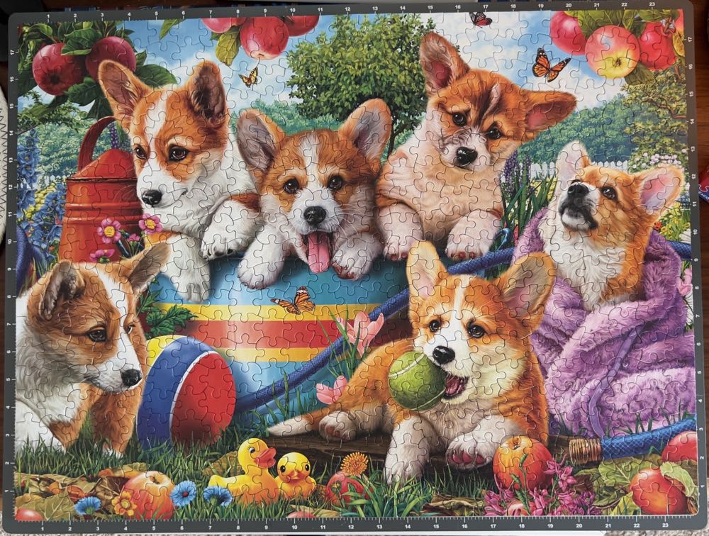 Cute Puppies - Aidan  - Ceaco puzzle collectible [Barcode 021081241861] - Main Image 2