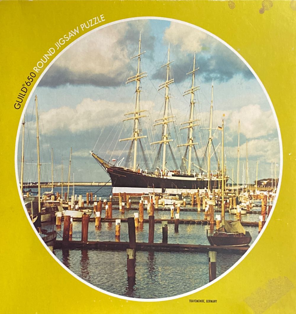 Leopards In The Jungle