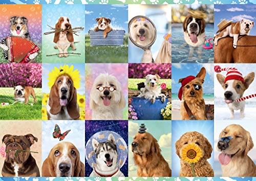 Colorcraft Pieces We Love The Beach