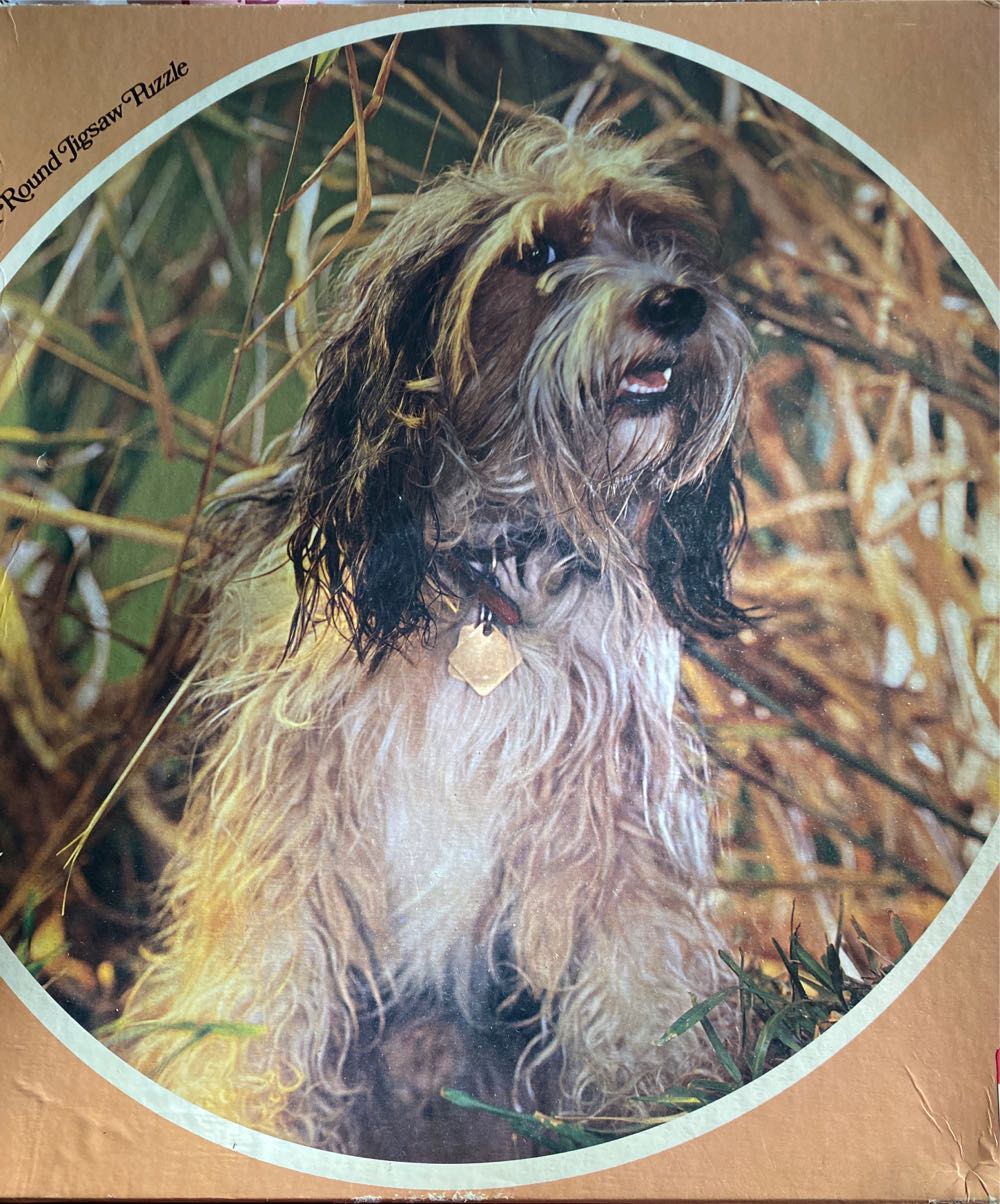 Winnie The Pooh / Princess / Disney Family