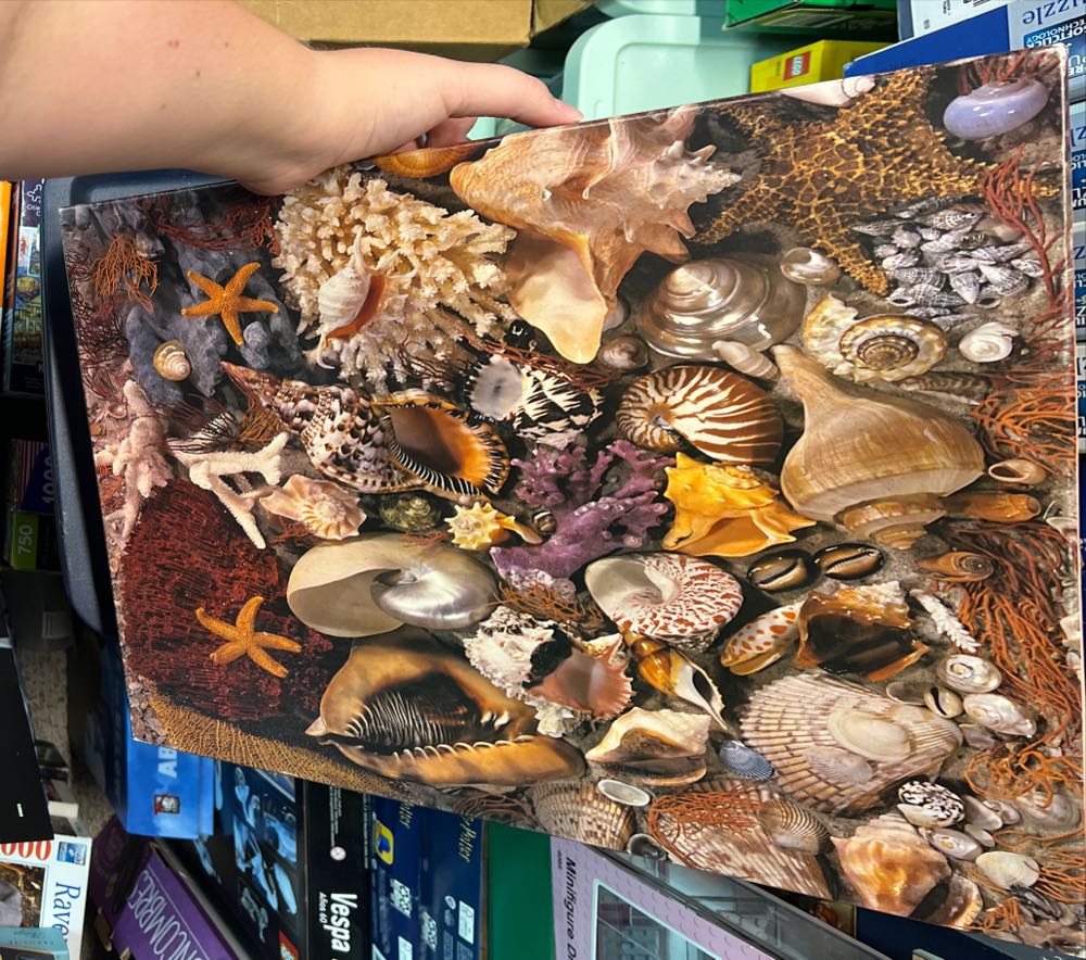 Yoga, Cats & Coffee: Hello Morning