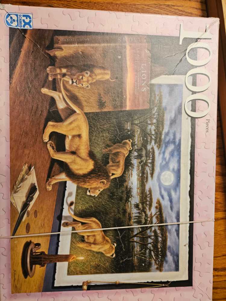 No Boundries - FX Schmid puzzle collectible - Main Image 1