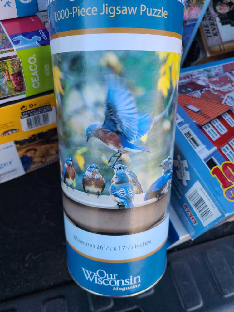 The Adventures Of The Avengers