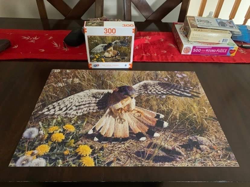 Eagle Prey - Sure Lox puzzle collectible [Barcode 686141101556] - Main Image 3