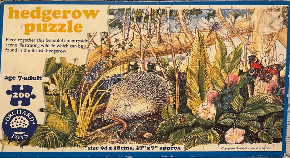 Fantasy Magic Room H1494