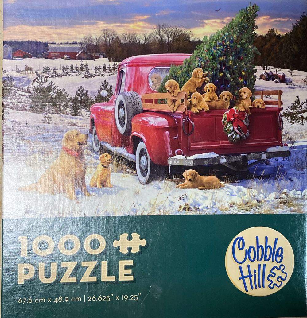 Family Outing - Cobble Hill 🇺🇸 puzzle collectible [Barcode 625012572606] - Main Image 2