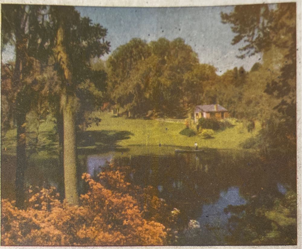 Creatures Starry Night Jigsaw Puzzle 16 X 20 Inches 500 Pieces