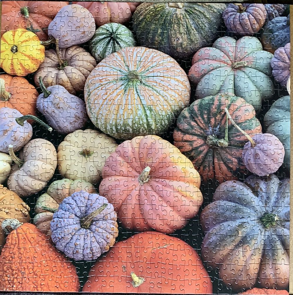 Colorful Pumpkins- GONE - Galison 🇺🇸 puzzle collectible [Barcode 9780735375901] - Main Image 2