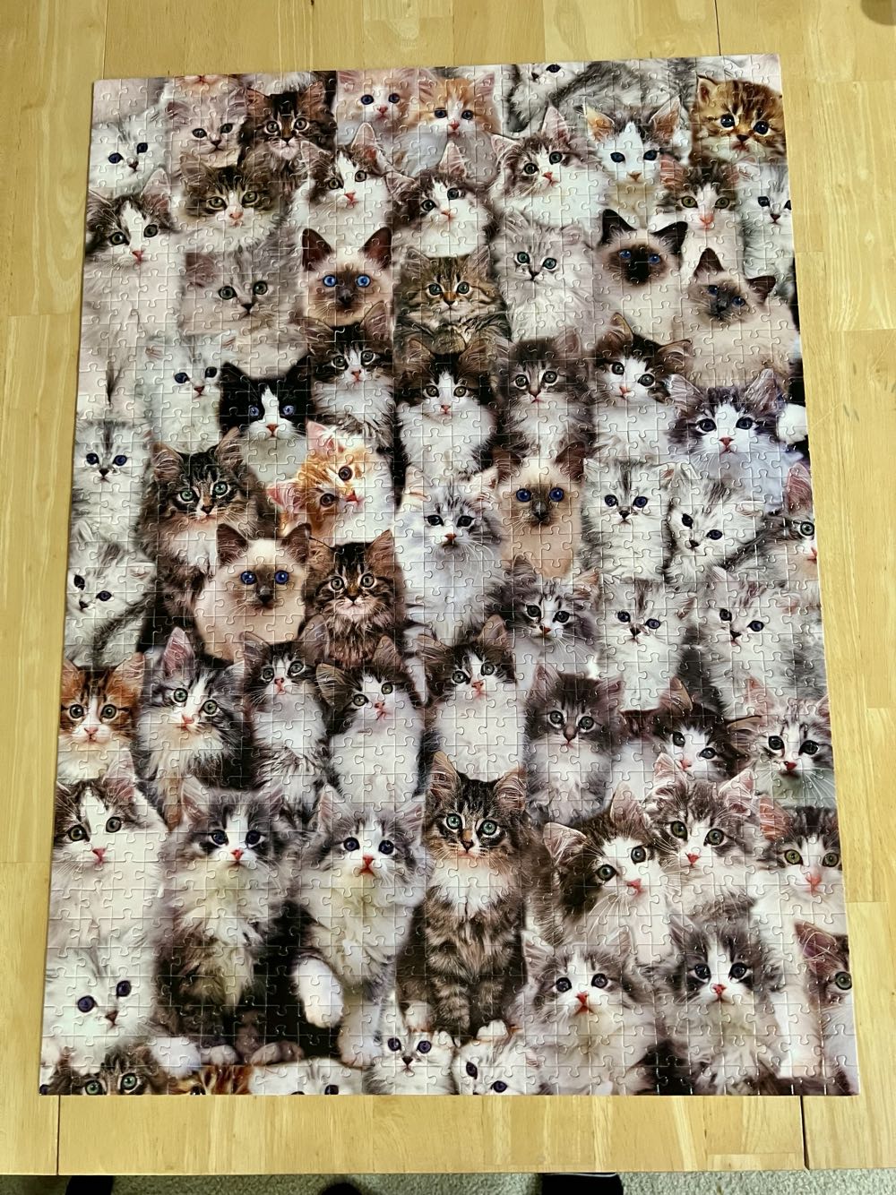 Cat World  - Hao Xiang puzzle collectible [Barcode 6820201130057] - Main Image 2