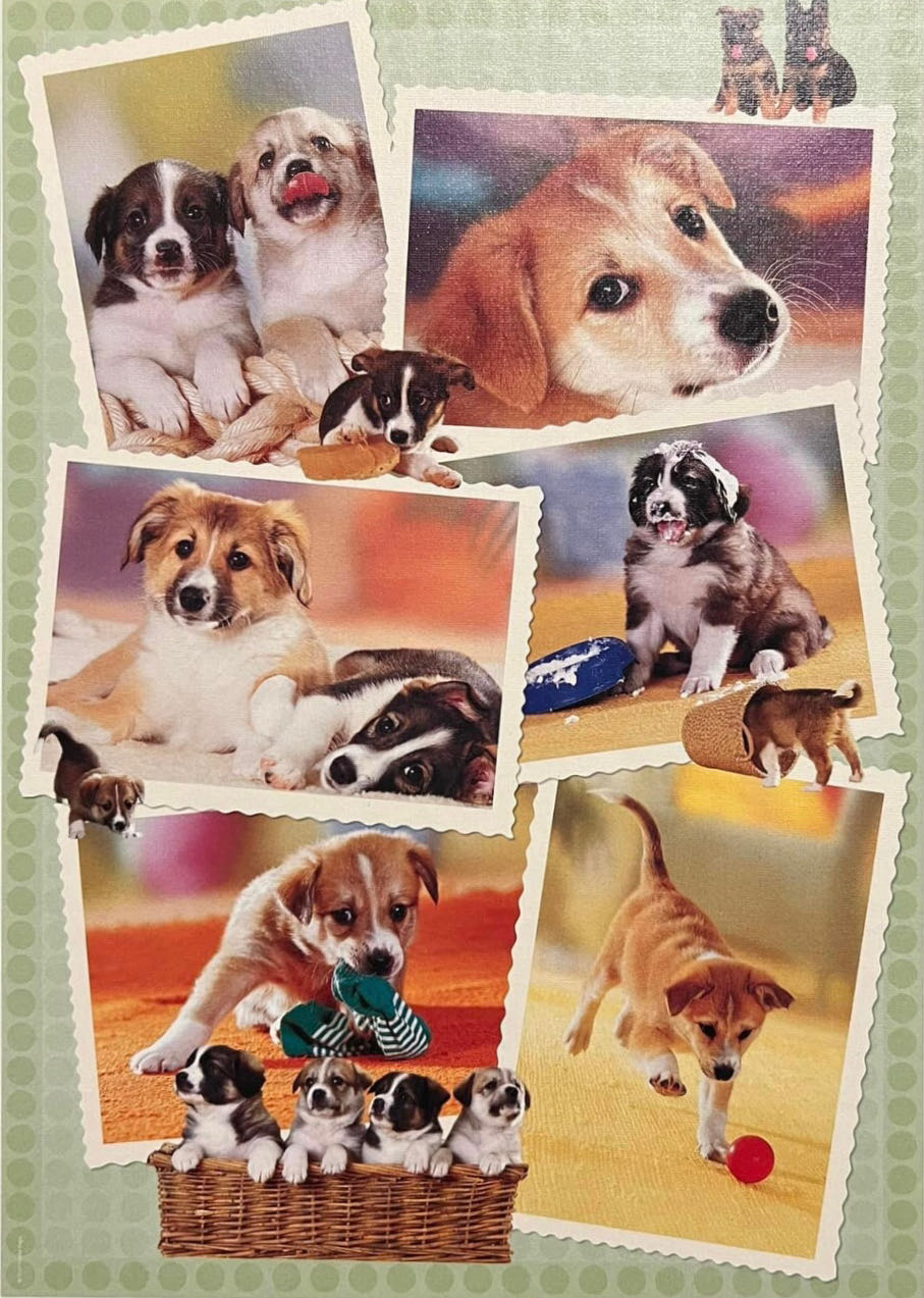 Little Friends (Dogs) 🟦 - Heye Puzzle puzzle collectible [Barcode 4001689292119] - Main Image 2