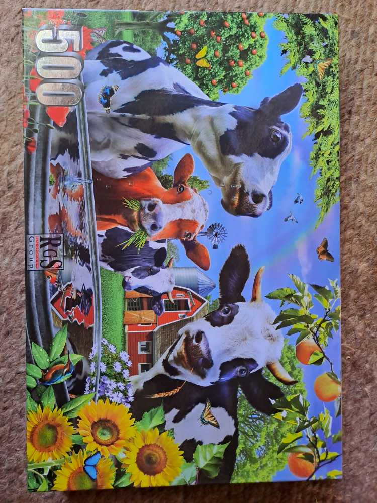 Colorful Rubber Boots