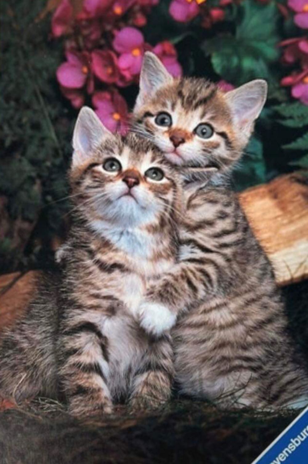 Gezochte Puzzel Messenger Scannen - Ravensburger puzzle collectible - Main Image 2