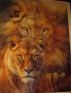 Peggy’s Garden Joy In The Morning