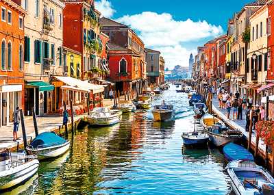 Hummingbirds At The Beach-JOAN