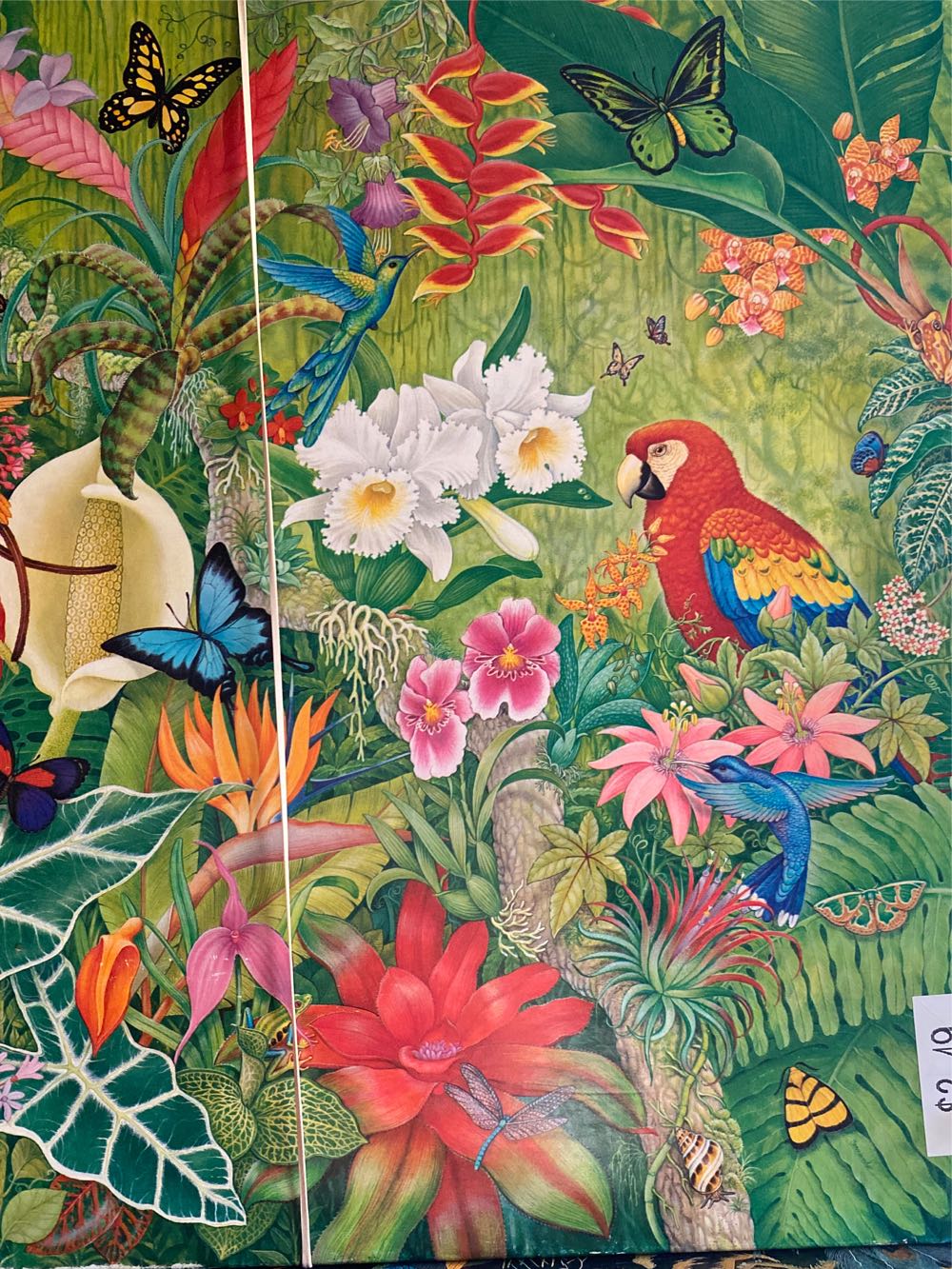 Colorful School Supplies