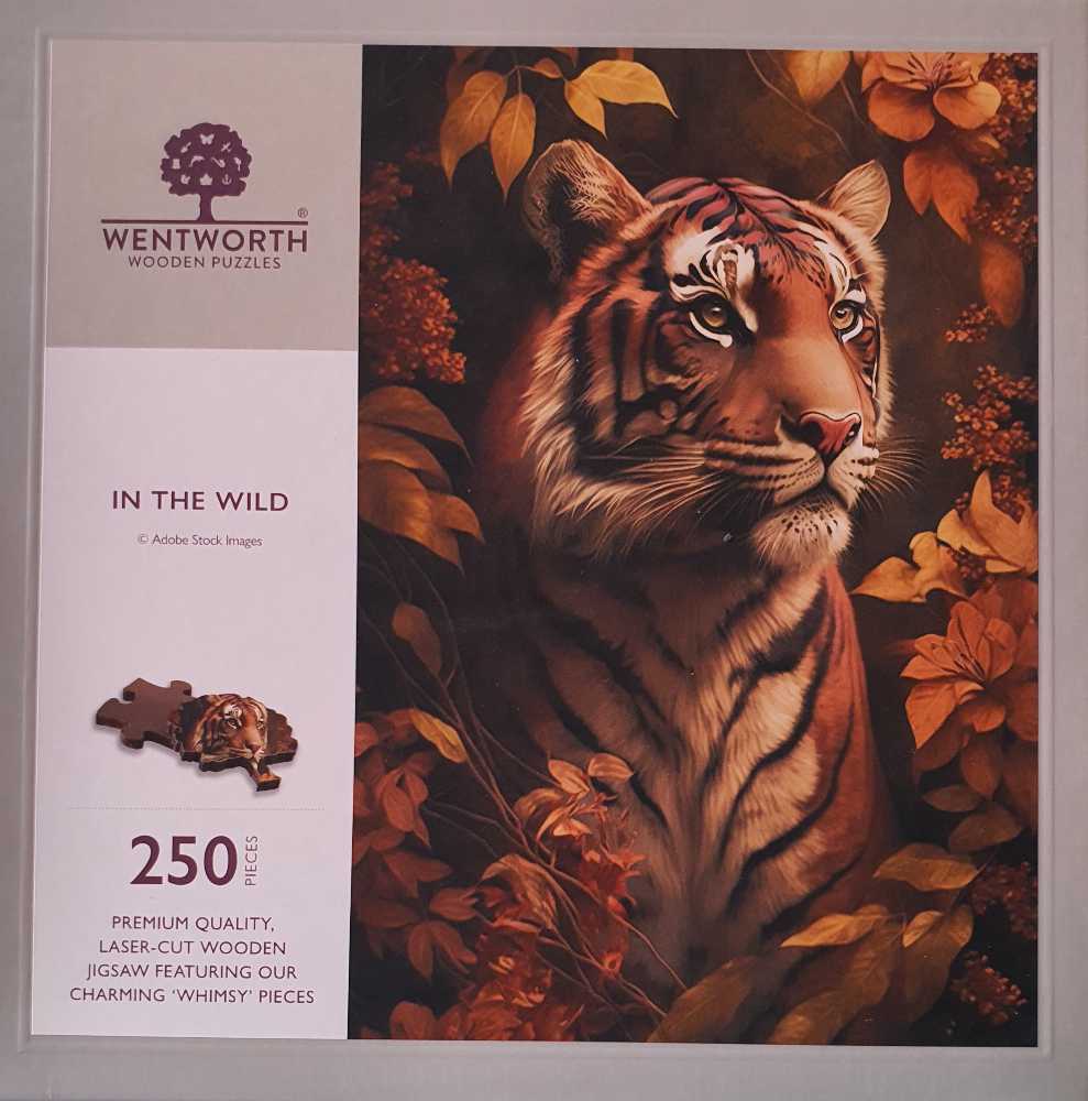 Snow Capped Mountains Panorama