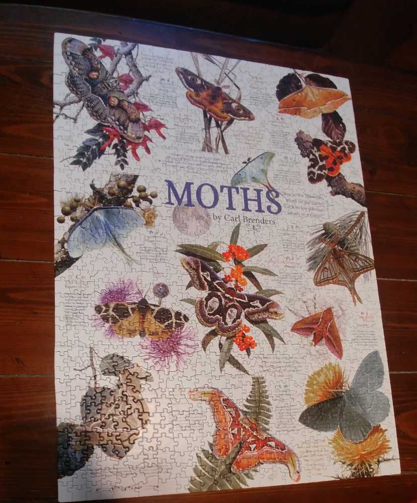 Moth Collection - Cobble Hill puzzle collectible [Barcode 625012800167] - Main Image 2