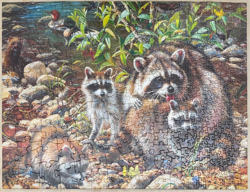 Raccoon Family - Cobble Hill puzzle collectible [Barcode 625012546072] - Main Image 2