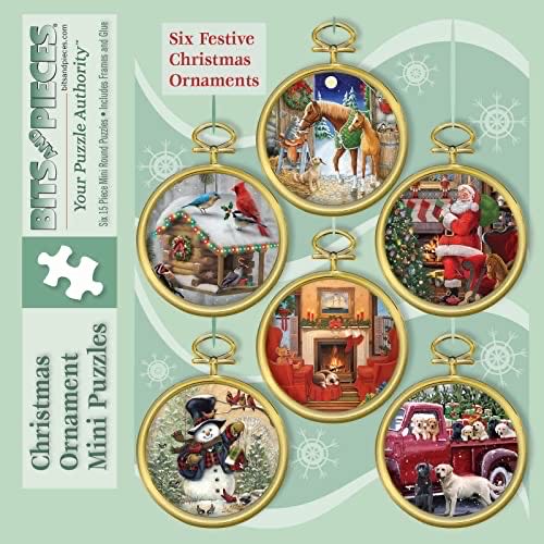 Coral Reef: Marine Life