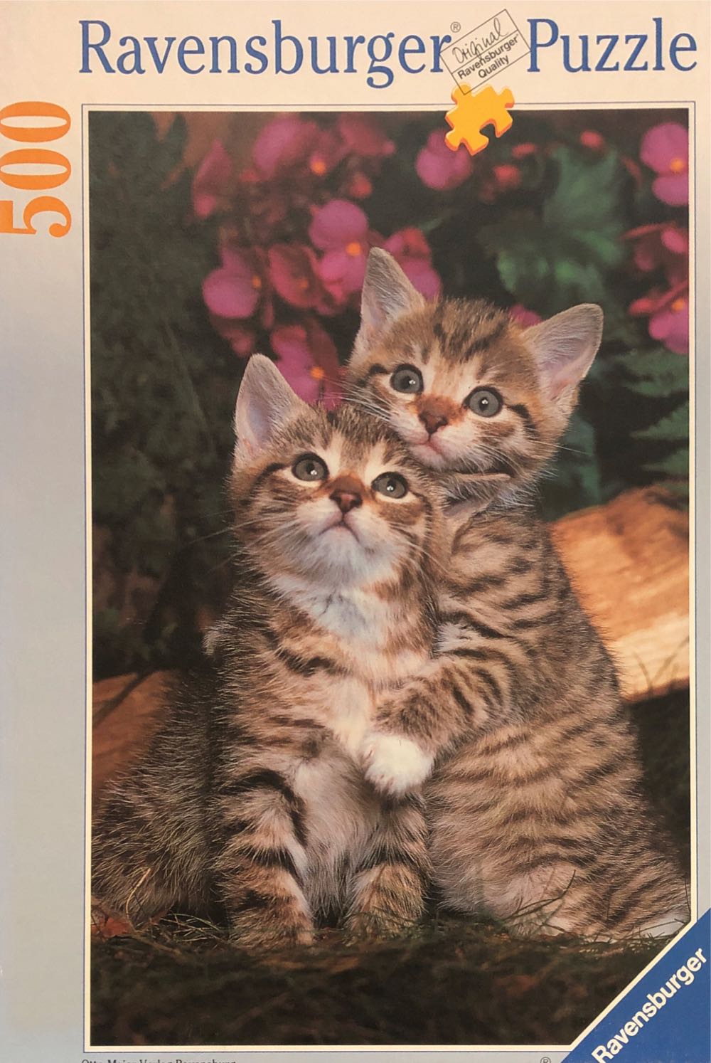 Highlight Of The Neighborhood