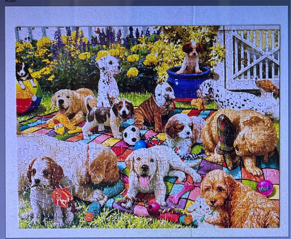 Puppy Playground - Buffalo Games puzzle collectible - Main Image 2