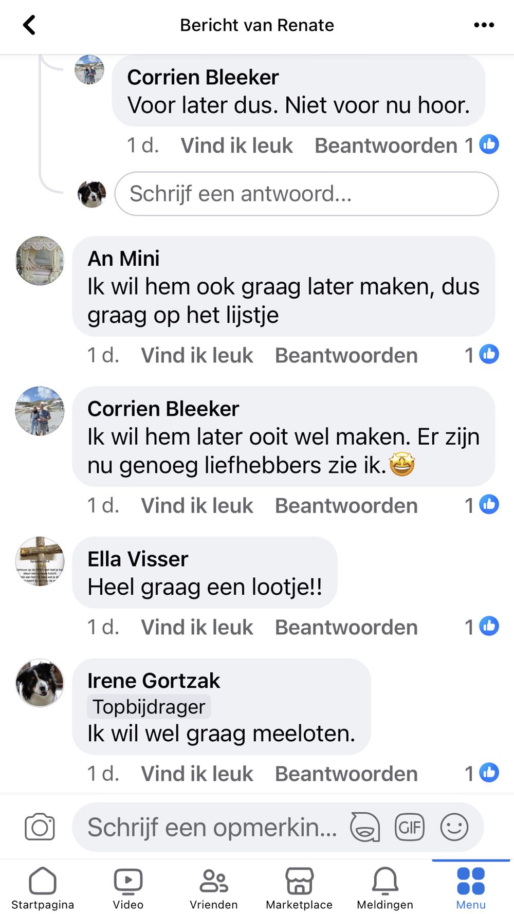 Ark Van Noach Scannen  puzzle collectible - Main Image 3