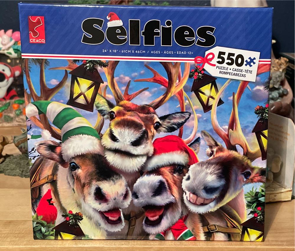 50 States Quilt Blocks