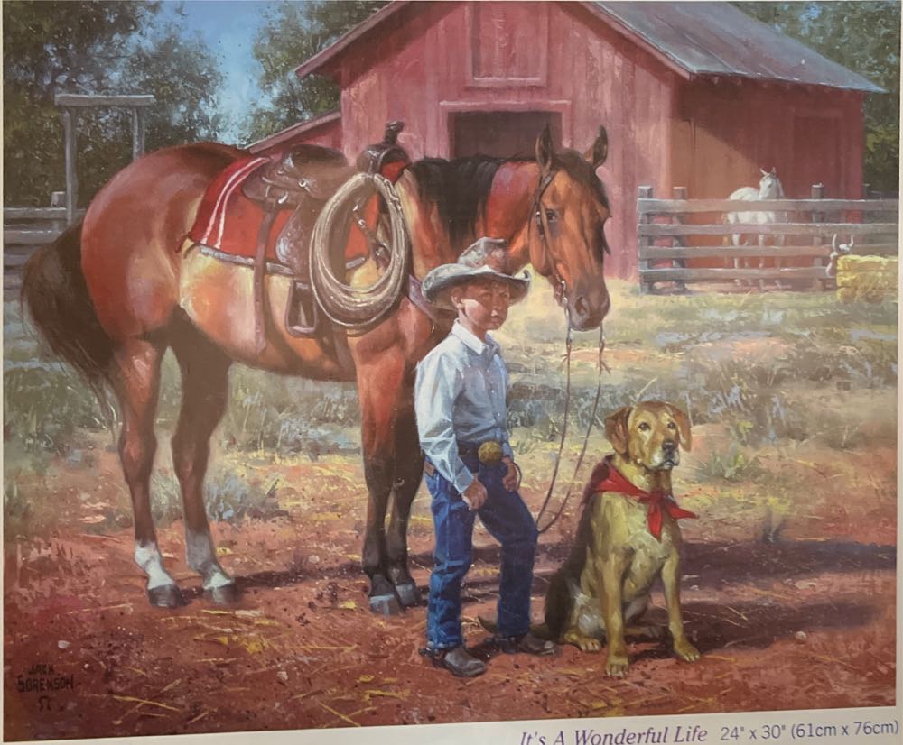 Dallas Cowboys Game Day At The Zoo