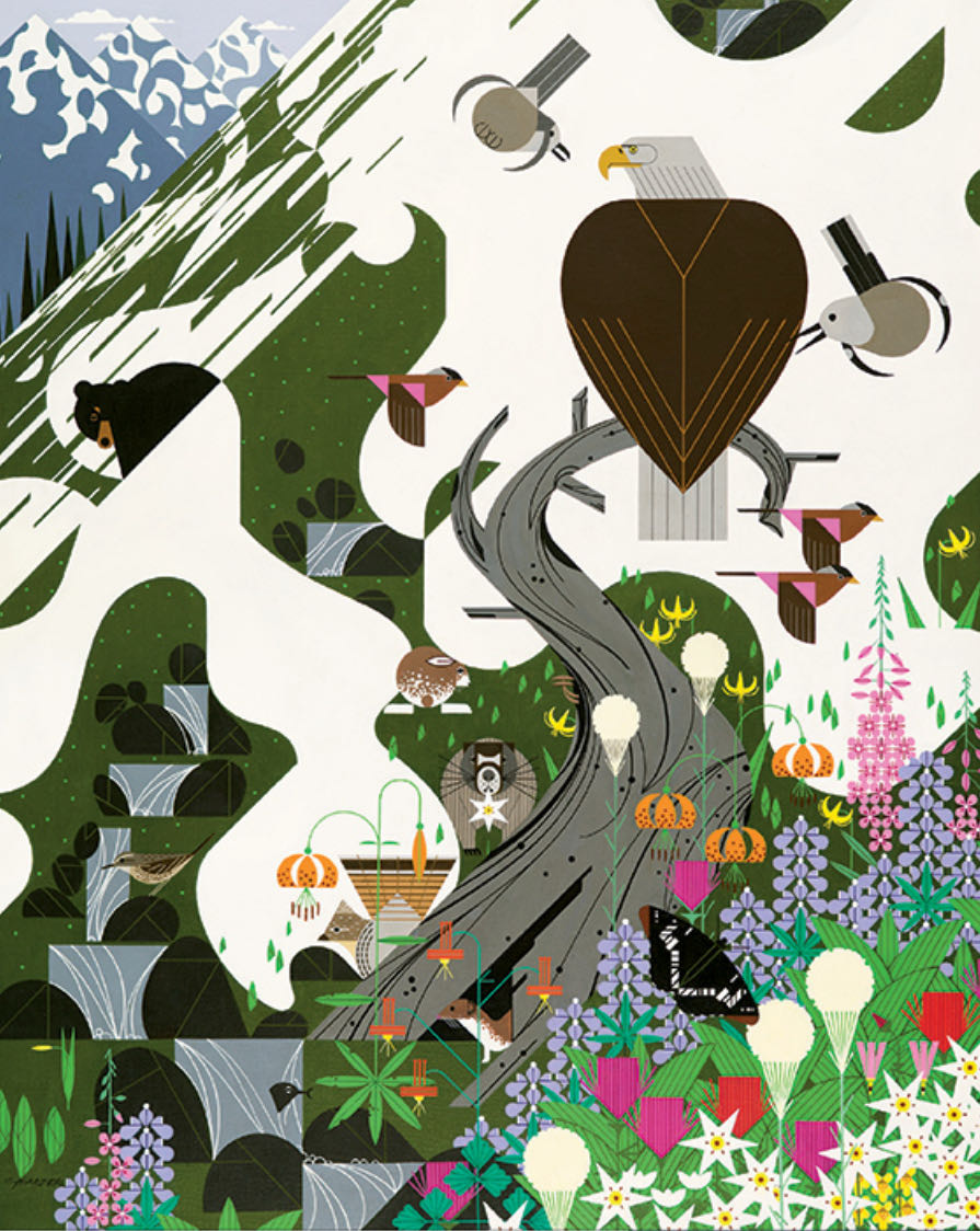 Summertime at the Thomas Farm