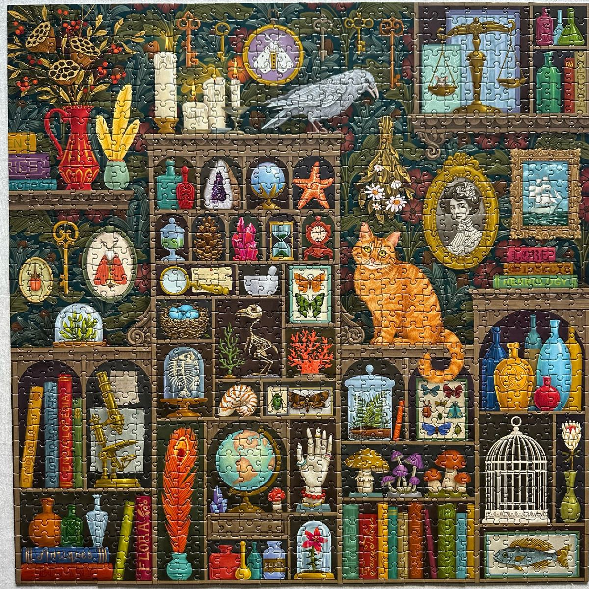 Autumn Traditions (NIB)🧩