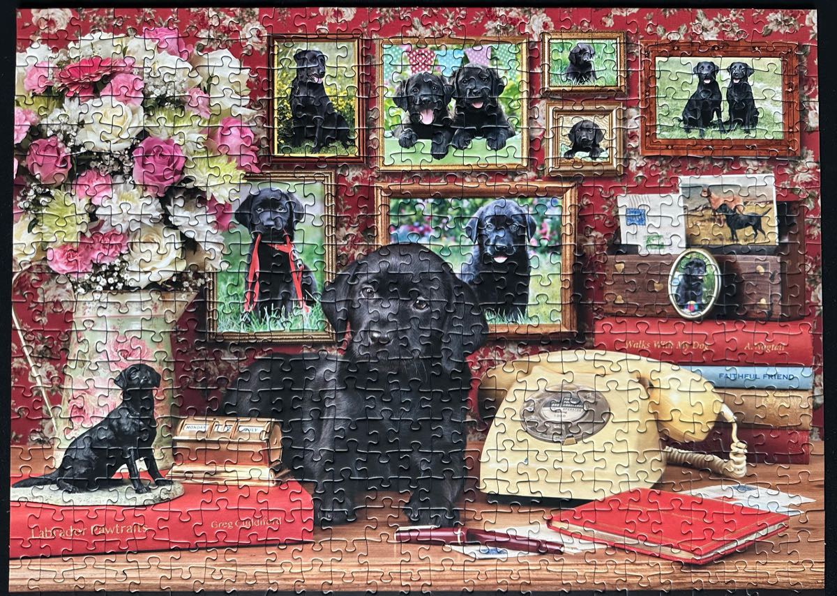 Bambi and Friends  🟦