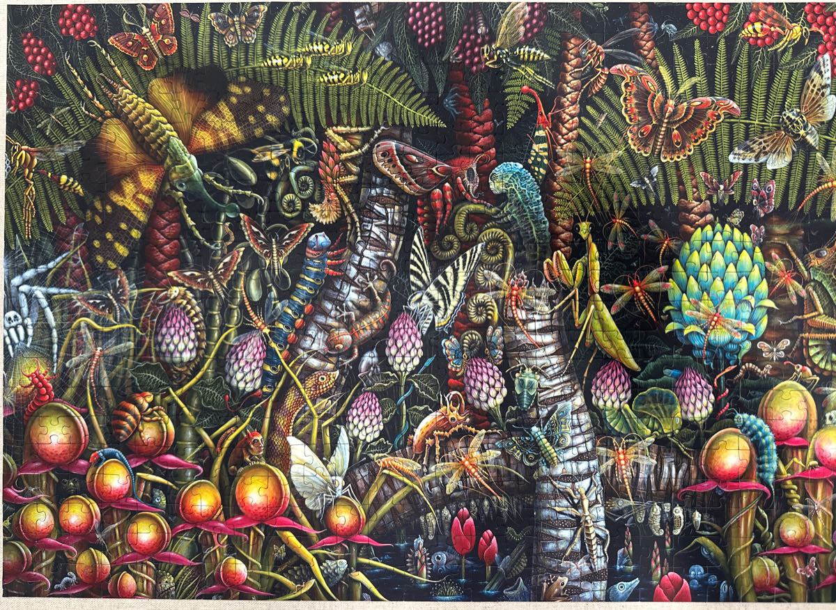 Butterflies of the world🟦