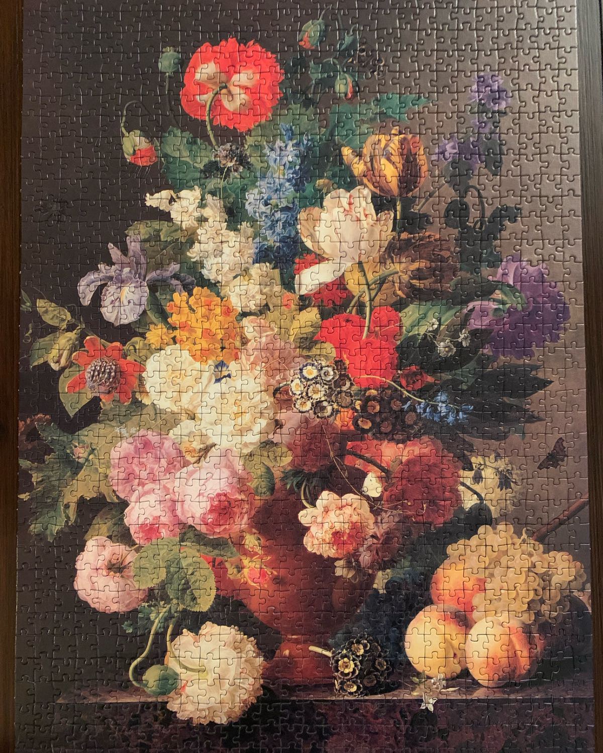 Marine Life Geometric