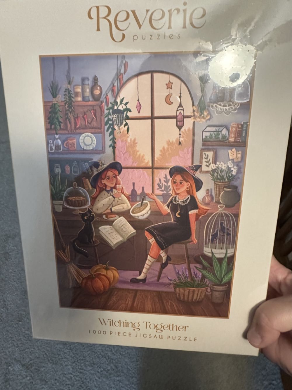 Christmas Cat-Tastrophy 💎