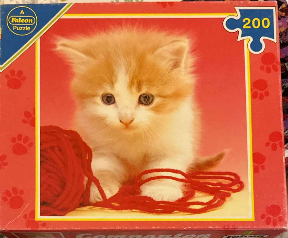 Mickey Mouse Campfire