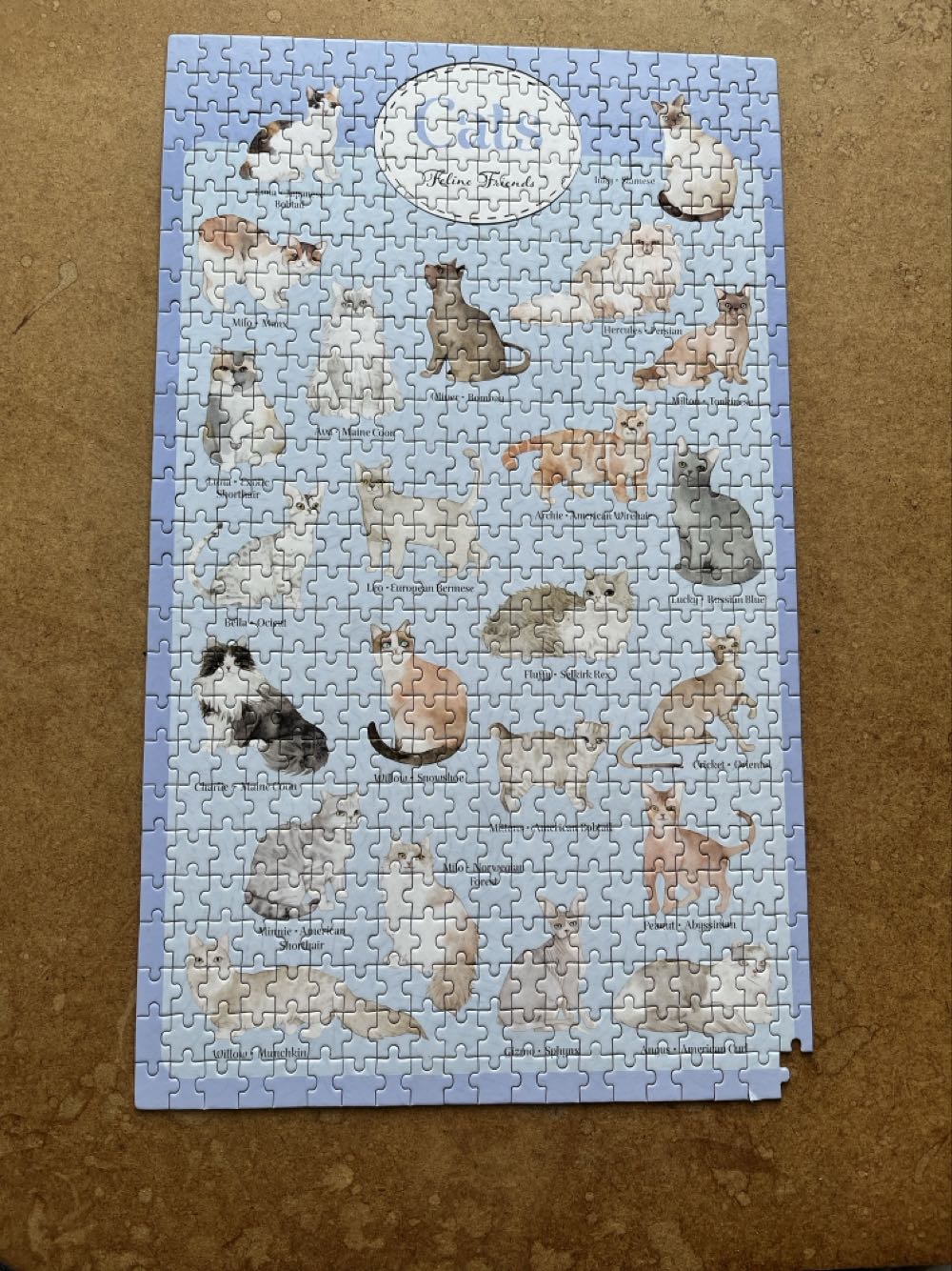 Cats - Unbranded puzzle collectible [Barcode 5059888948091] - Main Image 2