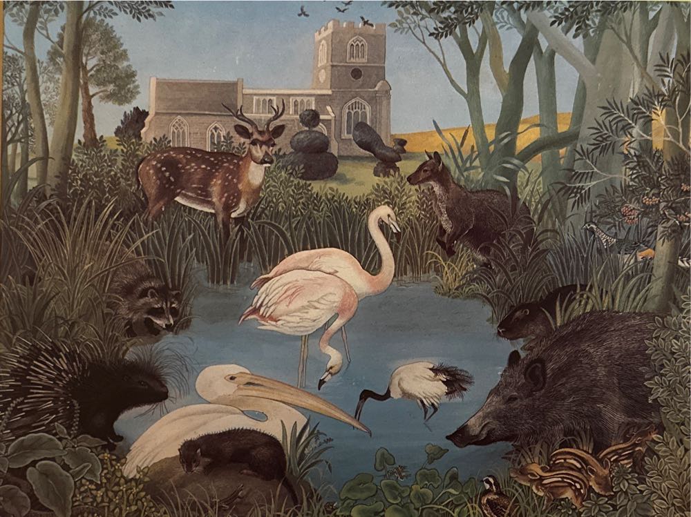 Renegade Game Studios: Weird Science Fantasy No. 15